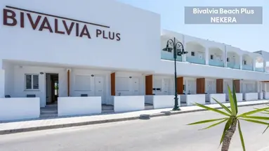 Bivalvia Beach Plus