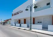 Bivalvia Beach Plus