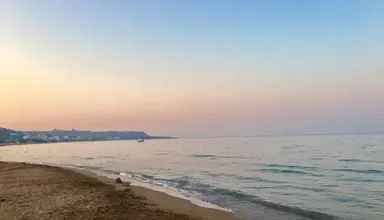 Bivalvia Beach Plus