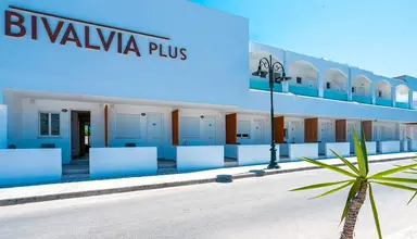 Bivalvia Beach Plus