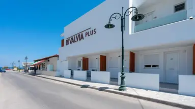 Bivalvia Beach Plus