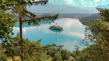 Bled Rose