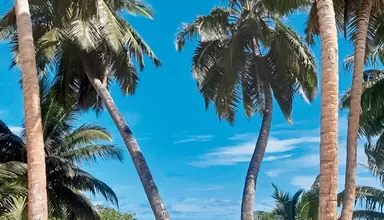 Bliss Praslin