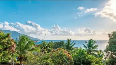 Bliss Seychelles