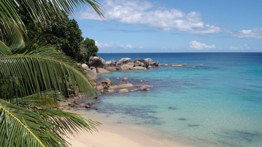 Bliss Seychelles