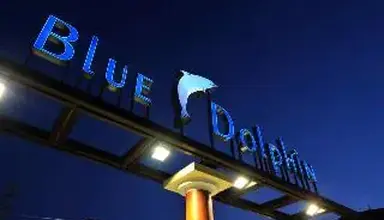 Blue Dolphin