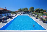 Blue Dolphin