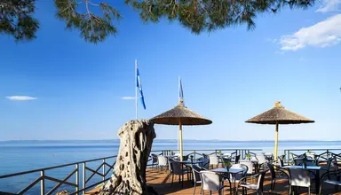 Blue Dolphin