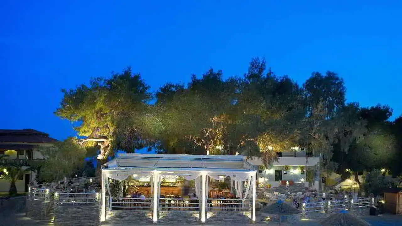 Blue Dolphin