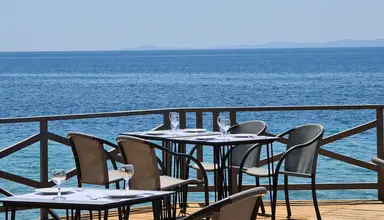 Blue Dolphin