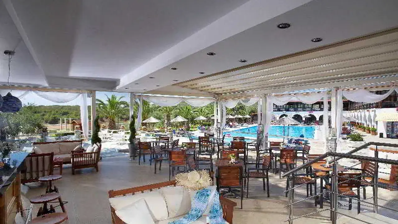Blue Dolphin
