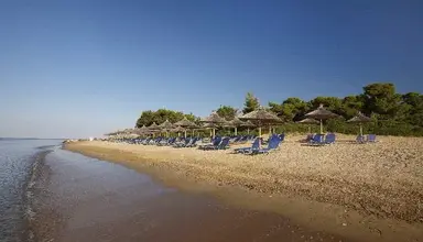 Blue Dolphin