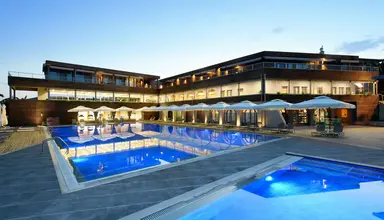Blue Dolphin