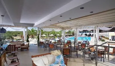 Blue Dolphin