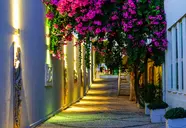 Blue Dreams Resort 