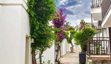 Blue Dreams Resort 