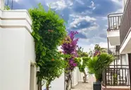 Blue Dreams Resort 