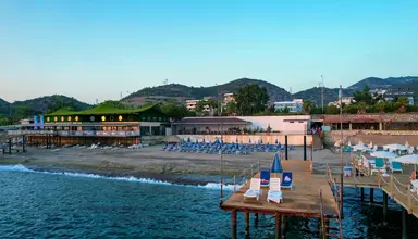 Blue Fish