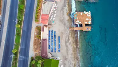 Blue Fish