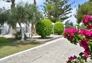 Blue nest kos