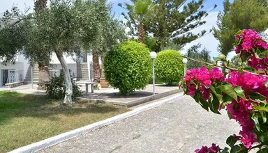 Blue nest kos