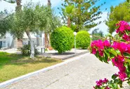 Blue nest kos
