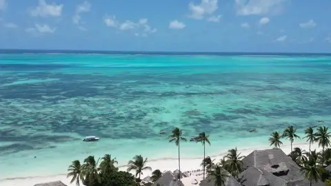 Hotel Blue Oyster