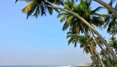 Blue Water