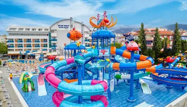 Blue Wave Suite