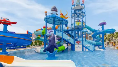 Blue Wave Suite