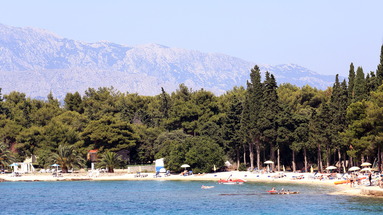 Bluesun Amor