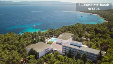 Bluesun Borak
