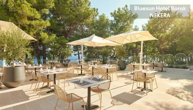 Bluesun Borak