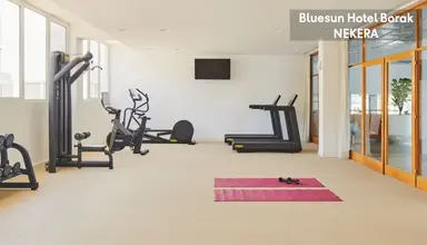 Bluesun Borak