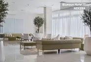 Bluesun Elaphusa
