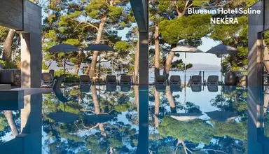 Bluesun Soline