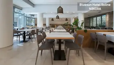 Bluesun Soline