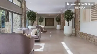 Bluesun Soline