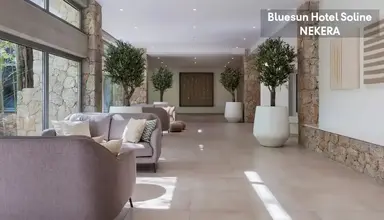 Bluesun Soline