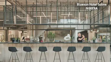 Bluesun Soline