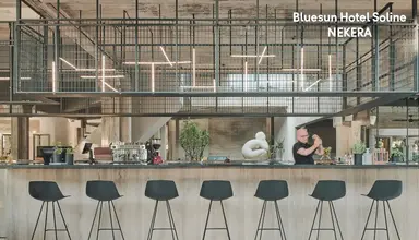 Bluesun Soline