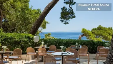 Bluesun Soline