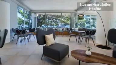 Bluesun Soline