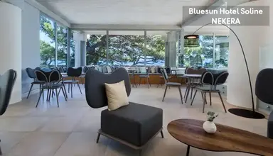 Bluesun Soline