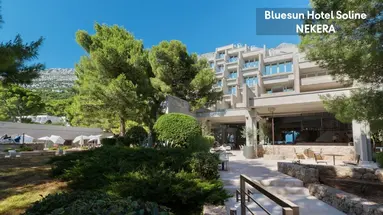 Bluesun Soline