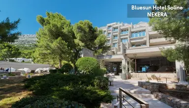 Bluesun Soline