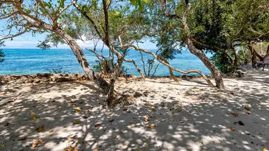 Bluewater Panglao Beach Resort