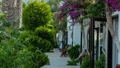 Bodrum Anadolu
