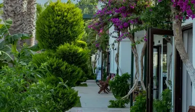 Bodrum Anadolu