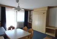 Boe
